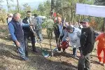 DAHA YEŞİL BİR TARAKLI İÇİN...