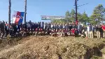 DAHA YEŞİL BİR TARAKLI İÇİN...