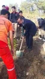 DAHA YEŞİL BİR TARAKLI İÇİN...