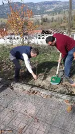 DAHA YEŞİL BİR TARAKLI İÇİN...