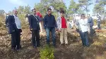 DAHA YEŞİL BİR TARAKLI İÇİN...