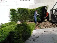 HASTANE ÇEVRESİ YEŞİLLENİYOR