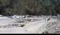 Güzel Manzarayı Bozan Kötü Görüntüler