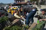 Taraklı’da Vatandaşlara Fidan Dağıtıldı