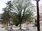 ŞEHİT MEHMET NURİ KOCABIYIK MEYDANI’NA YENİ DÜZENLEME YAPILACAK