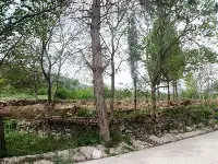 DOKUZLAR TÜRBESİ YADA DÜZ TÜRBE YENİDEN DÜZENLENİYOR