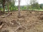 DOKUZLAR TÜRBESİ YADA DÜZ TÜRBE YENİDEN DÜZENLENİYOR