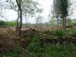 DOKUZLAR TÜRBESİ YADA DÜZ TÜRBE YENİDEN DÜZENLENİYOR