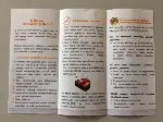 Öğrencilere Sağlık Eğitimi