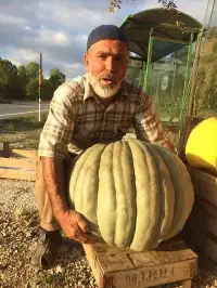 Vefat