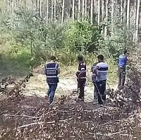 Taraklı'da boğazı kesilmiş erkek cesedi