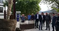 MEYDANDA KURUYAN AĞAÇLAR SÖKÜLEREK YERİNE ÇINAR AĞAÇLARI DİKİLDİ.