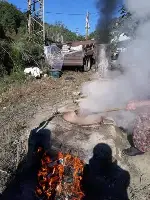 AKSU MAHALLLESİ’N DE PEKMEZLER KAYNIYOR