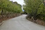 Büyükşehir'den Beton yol çalışması