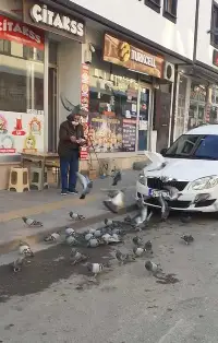Her Sabah Güvercinlere Yem Veriyor