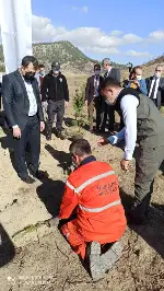 DAHA YEŞİL BİR TARAKLI İÇİN...