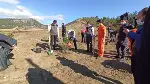 DAHA YEŞİL BİR TARAKLI İÇİN...