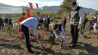 DAHA YEŞİL BİR TARAKLI İÇİN...