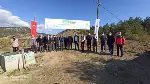 DAHA YEŞİL BİR TARAKLI İÇİN...