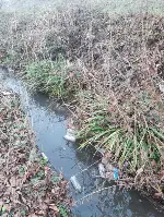 Değirmen Suyu Deresi Pislik Dolu