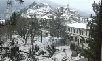Her Sabah Kaymaklı Bisküvi…