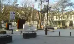 Cıttaslow (Sakin Şehir) Taraklı’da Sokaklar Bomboş
