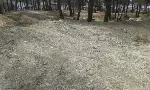 Hıdırlık Tepesi bakımsız kaldı