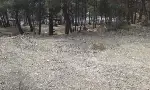 Hıdırlık Tepesi bakımsız kaldı