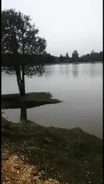 Mavi ve Yeşil'in Muhteşem Uyumu