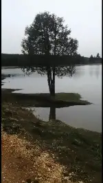 Mavi ve Yeşil'in Muhteşem Uyumu