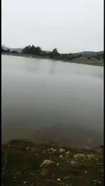 Mavi ve Yeşil'in Muhteşem Uyumu