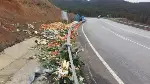 TARAKLI GEYVE YOLUNDA KAZA