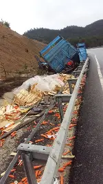 TARAKLI GEYVE YOLUNDA KAZA