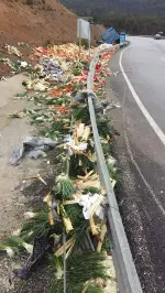 TARAKLI GEYVE YOLUNDA KAZA