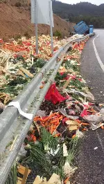 TARAKLI GEYVE YOLUNDA KAZA