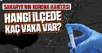 İlçelere Göre Vaka Sayısı