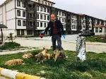 Sokağa çıkma yasağında sokak hayvanlarını unutmadılar