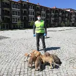 Sokağa çıkma yasağında sokak hayvanlarını unutmadılar