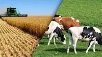 Tarım ve Hayvancılıkla Uğraşanlar