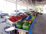Taraklı’da Hergün Pazar
