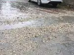 Gök gürültüsü ve şimşek korkuttu