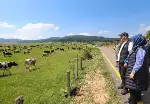 Vali Çetin Oktay Kaldırım, ilk görev gününde Tarakl'yı ziyaret etti.