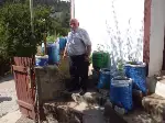 Taraklı’da “Çuvalda Domates Yetiştirme” Revaçta