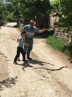 2 metrelik yılan korkuttu