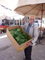 Asma yaprakları tezgahta yerini aldı..