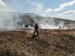 Taraklı'da Anız Yangını