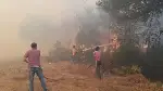 Orman Yangını
