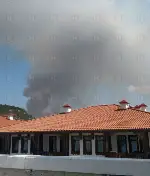 Orman Yangını