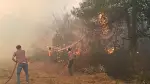 Orman Yangını