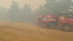 Orman Yangını